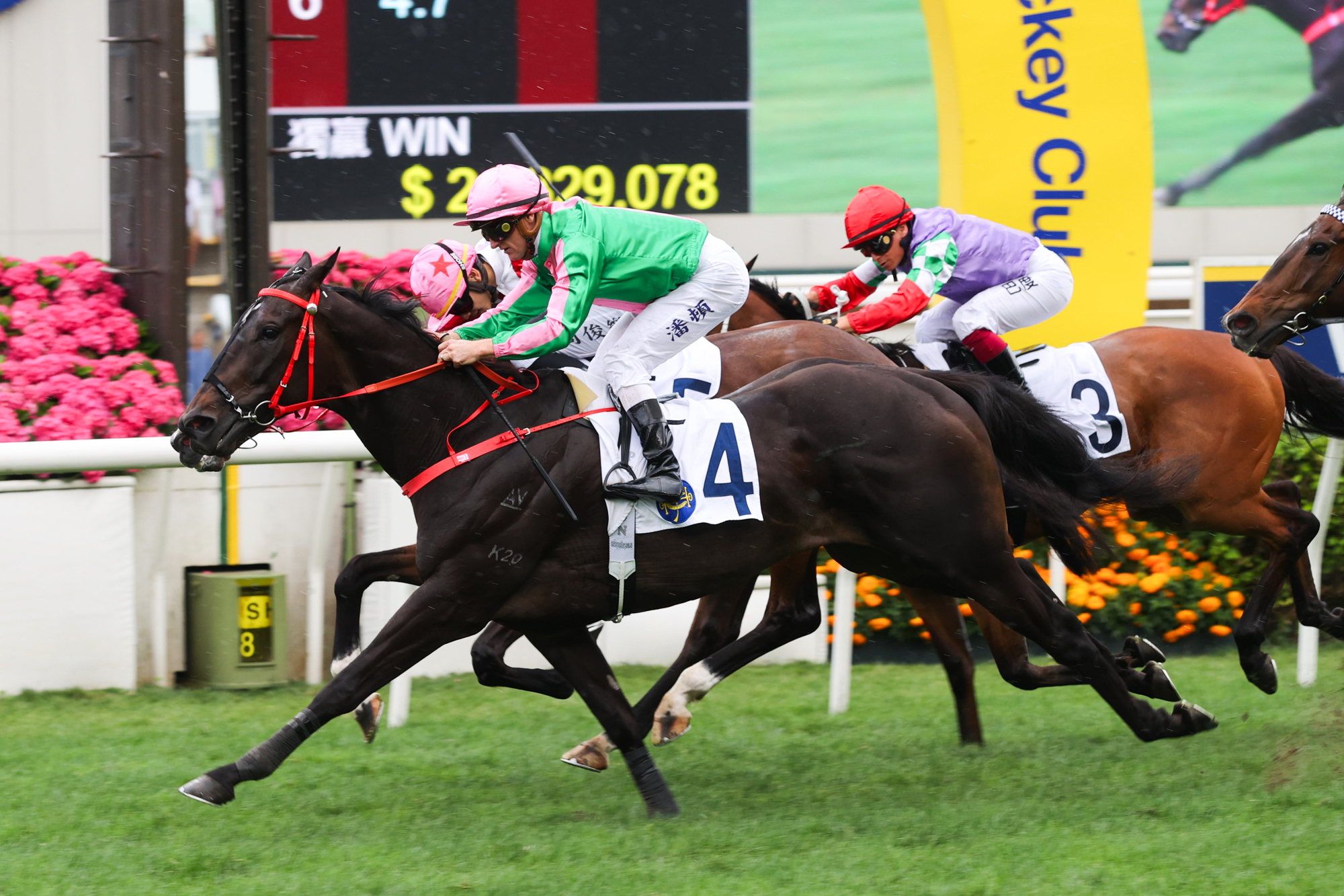 「有目共賞」勝出皇太后紀念盃。  「有目共賞」勝出皇太后紀念盃。